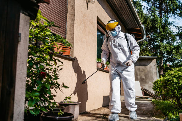 Best Wildlife Control Services  in Red Lodge, MT