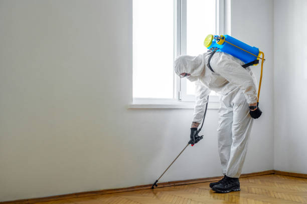 Best Affordable Pest Control Services  in Red Lodge, MT