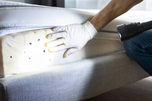 Best Best Pest Control Near Me  in Red Lodge, MT