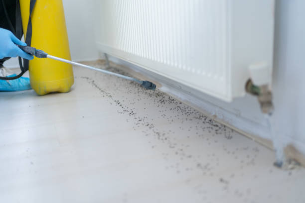 Best Residential Pest Control  in Red Lodge, MT