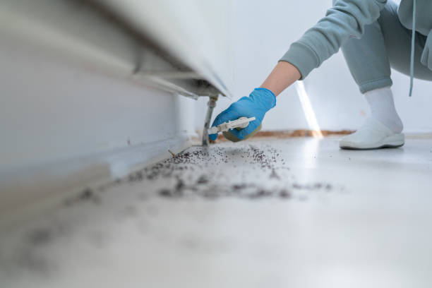 Best Affordable Pest Control Services  in Red Lodge, MT