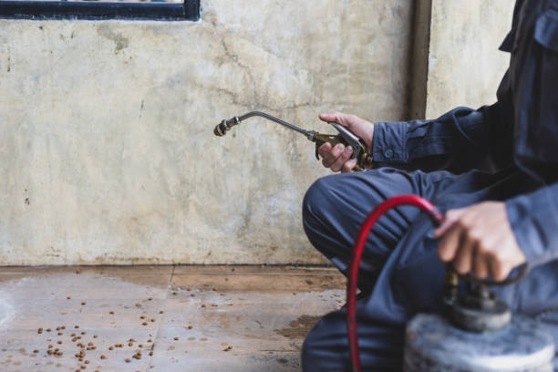 Best Pest Control for Restaurants  in Red Lodge, MT